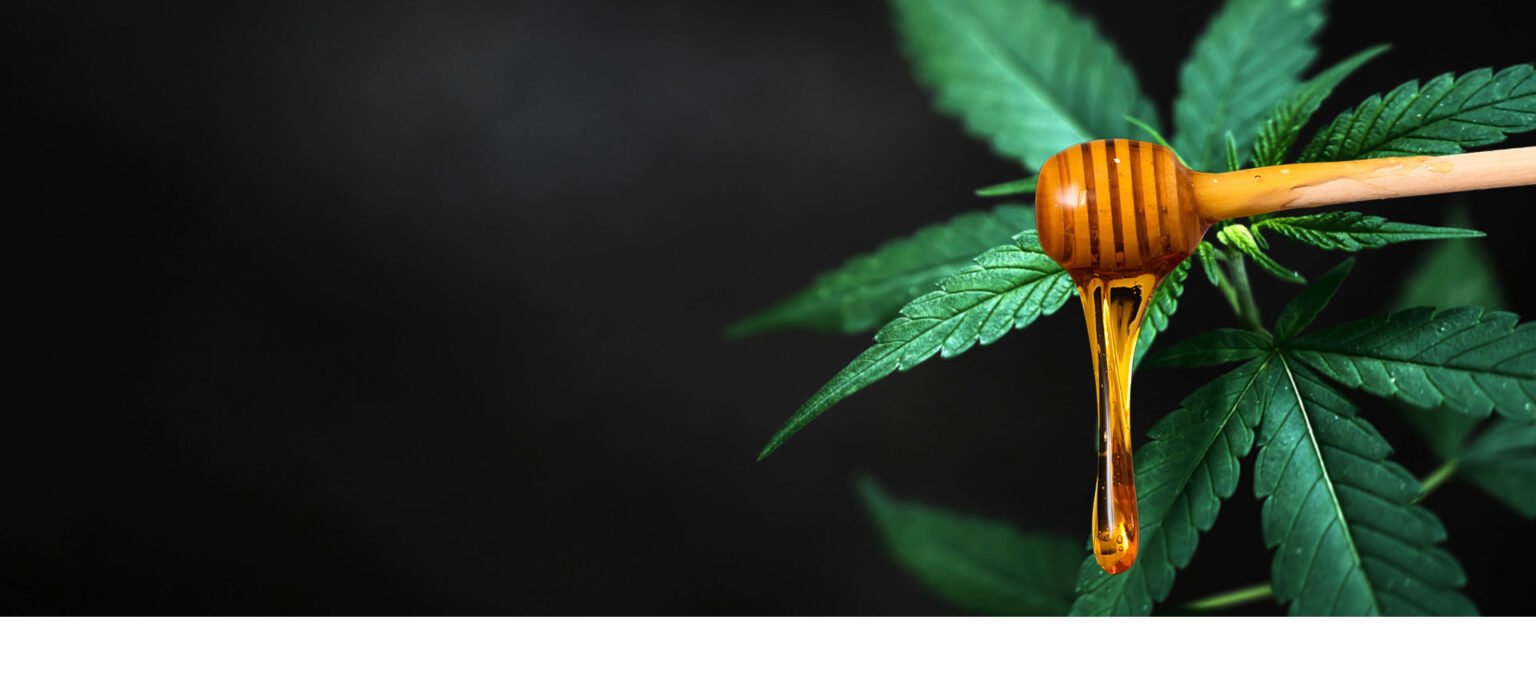 baner-dzien-pszczoły-promo_tlo4