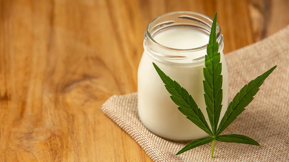 hemp-protein