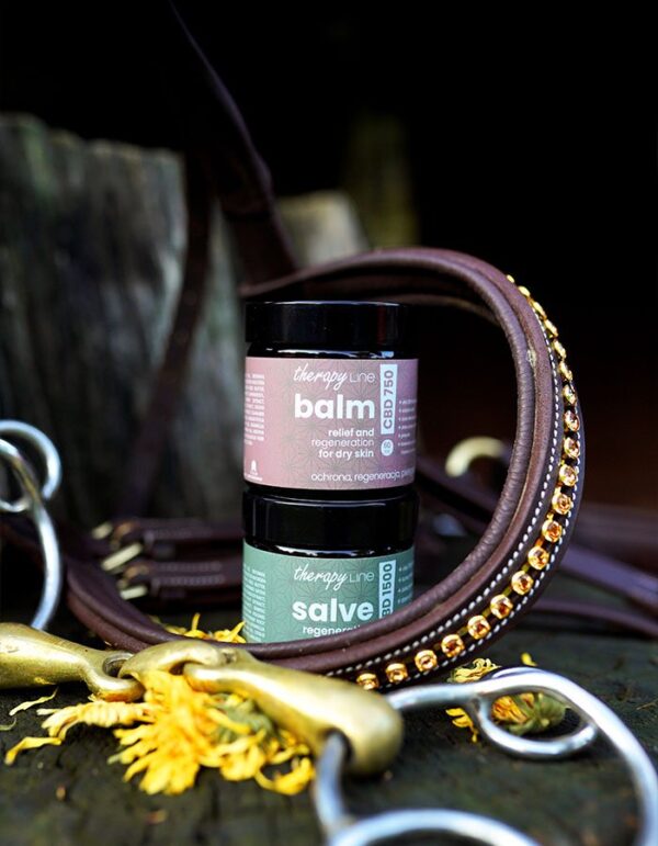 Balm CBD 750 Relief and Regeneration for Dry Skin - obrazek 2