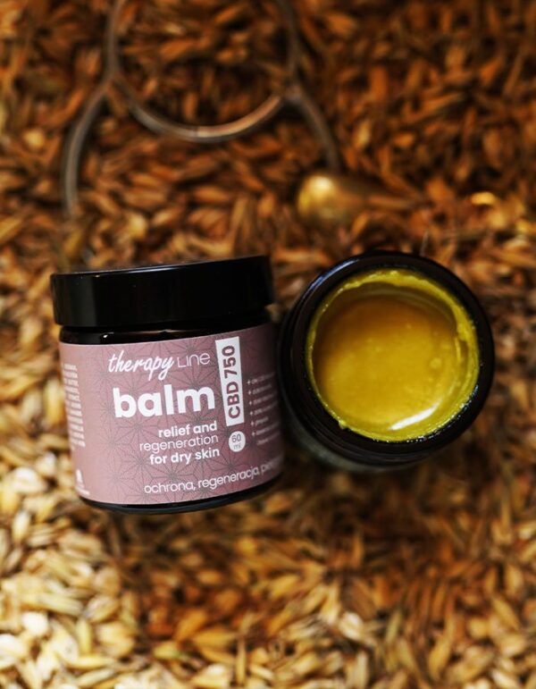 BALM23